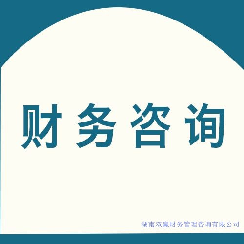 財(cái)務(wù)咨詢(xún)
